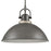 Atlas Lighting North Shore 18''W 1Lt Outdoor Pendant, Iron/Bronze