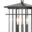 Atlas Lighting Oak Park 9'' Wide 3Lt Outdoor Pendant, Black/Clear