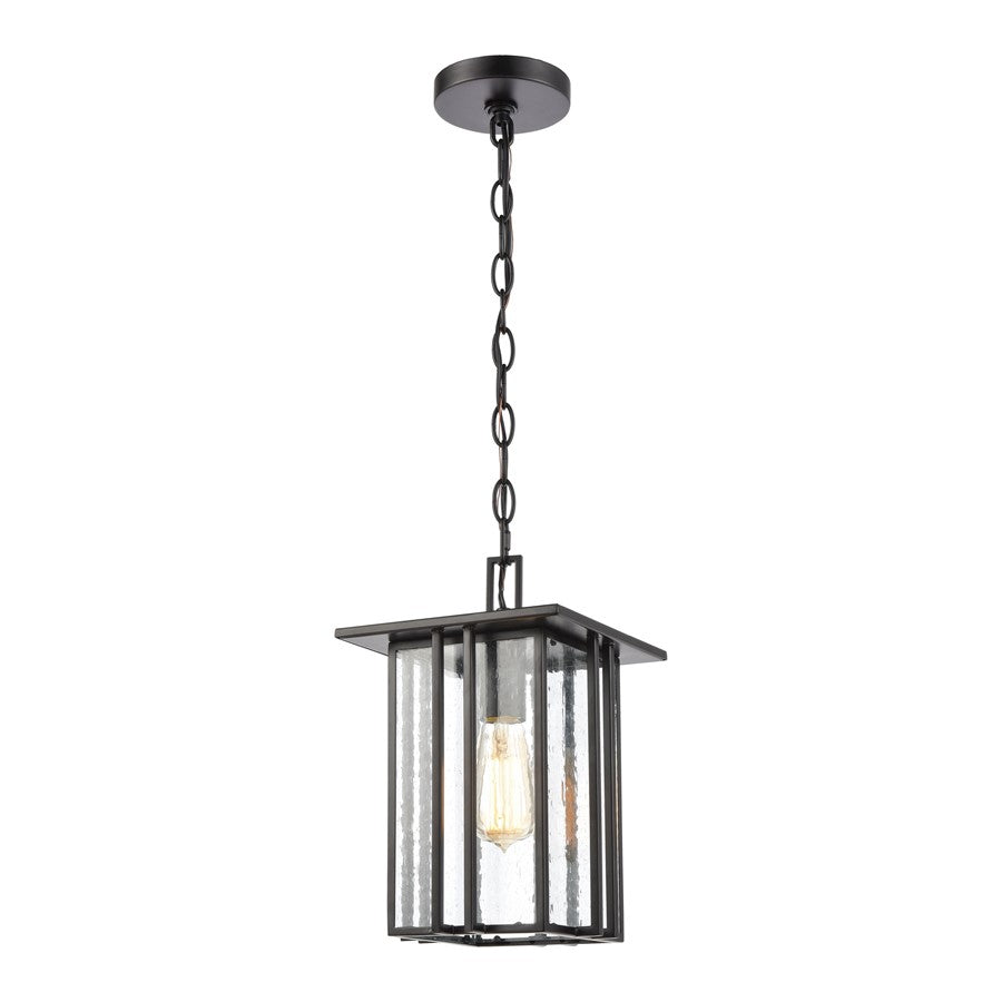 Atlas Lighting Radnor 8''W 1Lt Outdoor Pendant, Matte Black/Clear