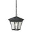 Atlas Lighting Ridgewood 9'' Wide 1Lt Outdoor Pendant, Black/Clear
