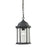 Atlas Lighting Spring Lake 8''W 1Lt Outdoor Pendant, Black/Clear