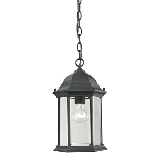 Atlas Lighting Spring Lake 8''W 1Lt Outdoor Pendant, Black/Clear