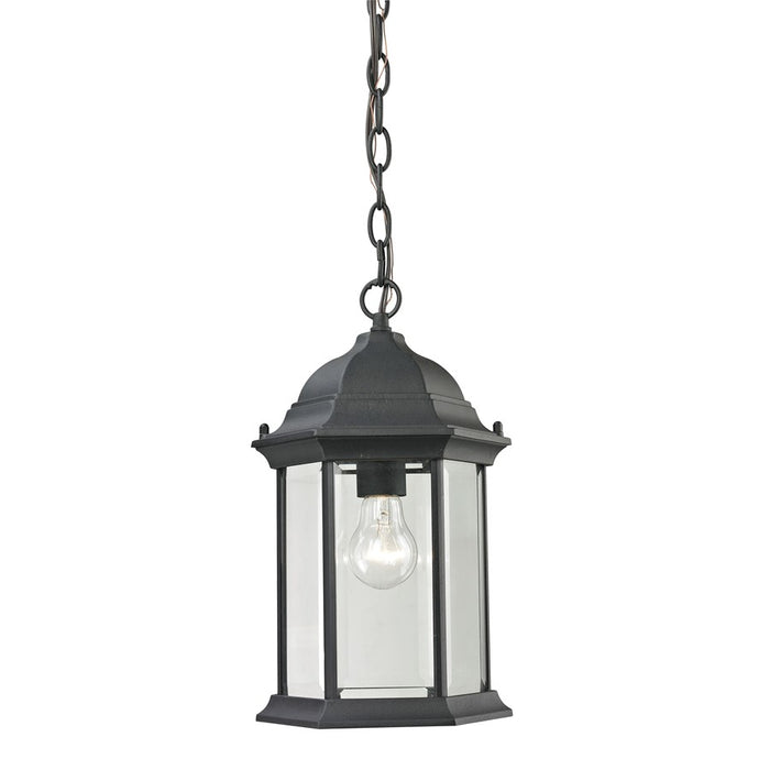 Atlas Lighting Spring Lake 8''W 1Lt Outdoor Pendant, Black/Clear
