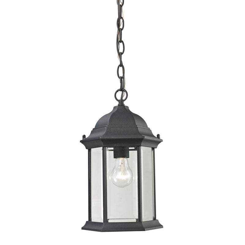 Atlas Lighting Spring Lake 8in 1-Light Outdoor Pendant | Traditional Matte Black and Clear Glass | Covered Patio & Entryway | Model OL11046-BK