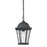 Atlas Lighting Temple Hill 10''W 1Lt Outdoor Pendant, Black/Clear