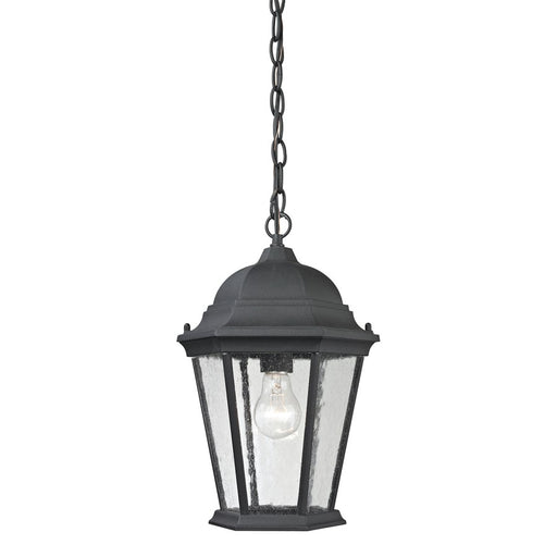 Atlas Lighting Temple Hill 10''W 1Lt Outdoor Pendant, Black/Clear