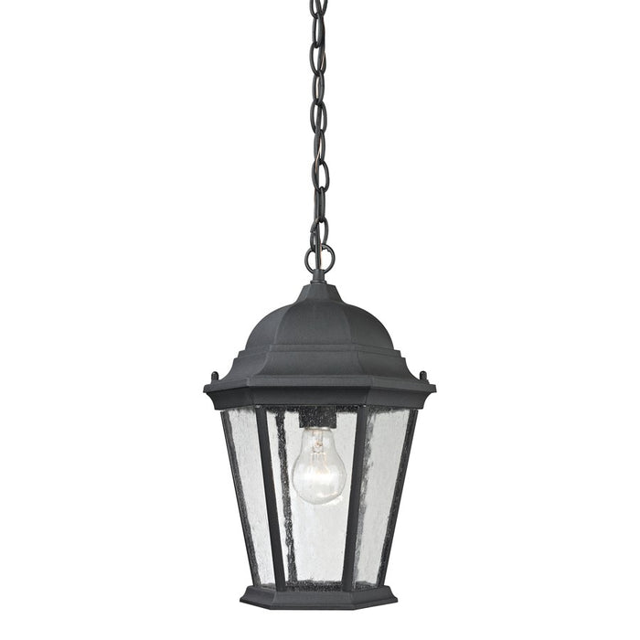 Atlas Lighting Temple Hill 10''W 1Lt Outdoor Pendant, Black/Clear