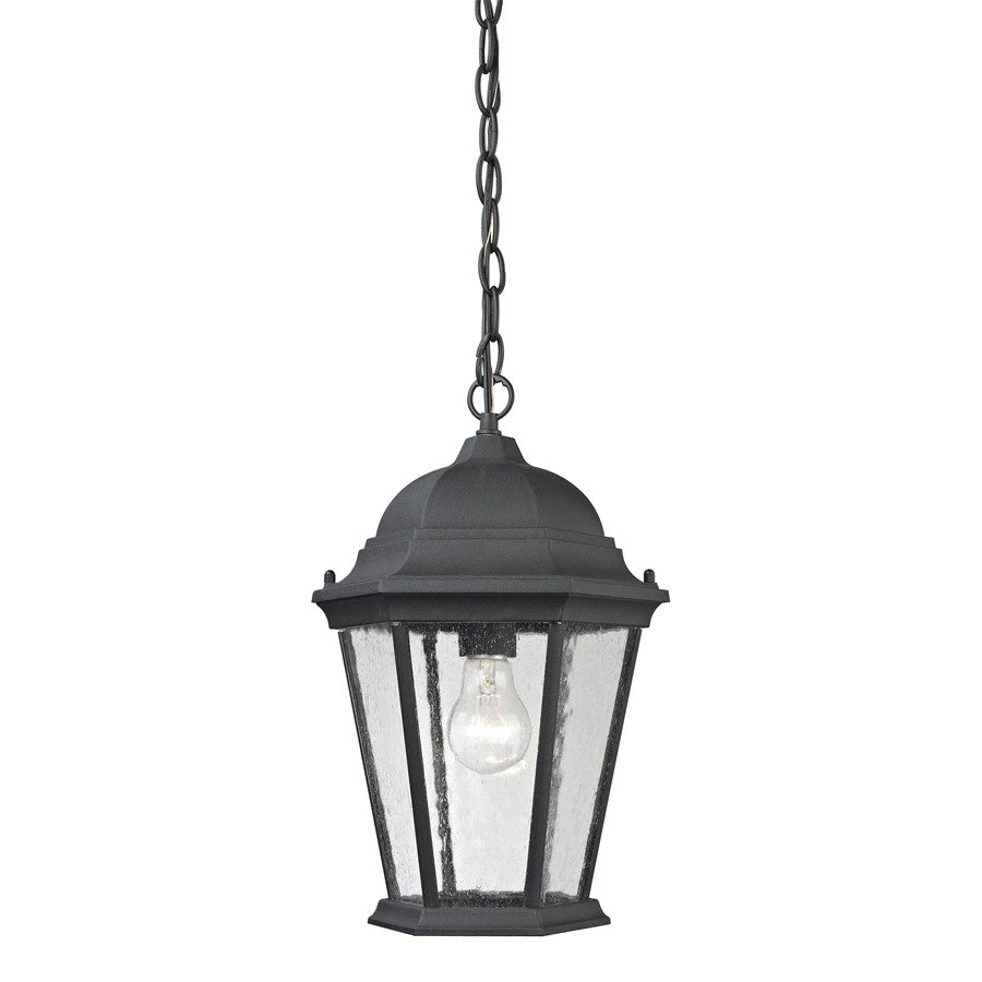 Atlas Lighting Temple Hill 10''W 1Lt Outdoor Pendant, Black/Clear