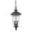 Atlas Lighting Trinity 9'' Wide 2Lt Outdoor Pendant, Bronze/Clear