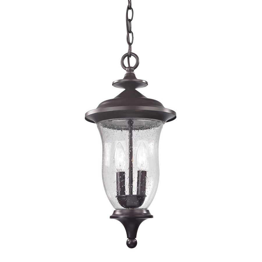 Atlas Lighting Trinity 9'' Wide 2Lt Outdoor Pendant, Bronze/Clear