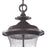 Atlas Lighting Trinity 9'' Wide 2Lt Outdoor Pendant, Bronze/Clear