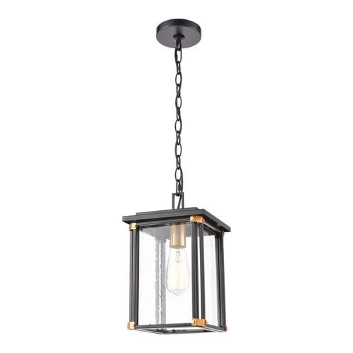 Atlas Lighting Vincentown 8'' Wide 1Lt Outdoor Pendant, Black/Clear