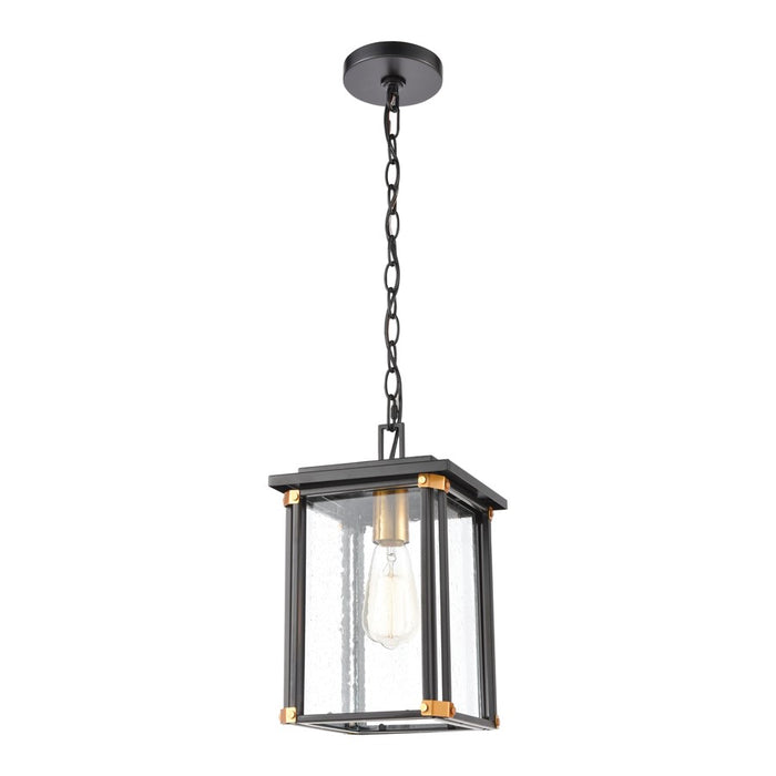 Atlas Lighting Vincentown 8'' Wide 1Lt Outdoor Pendant, Black/Clear