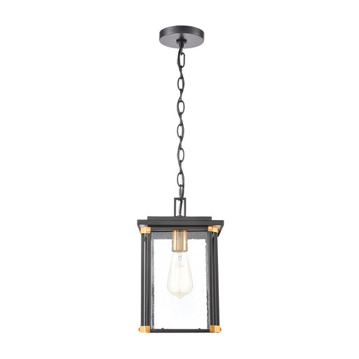 Atlas Lighting Vincentown 8'' Wide 1Lt Outdoor Pendant, Black/Clear