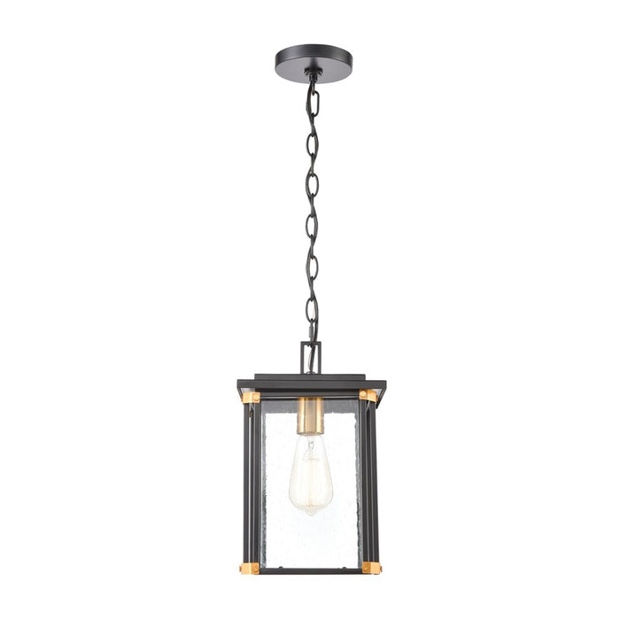 Atlas Lighting Vincentown 8'' Wide 1Lt Outdoor Pendant, Black/Clear