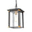 Atlas Lighting Vincentown 8'' Wide 1Lt Outdoor Pendant, Black/Clear