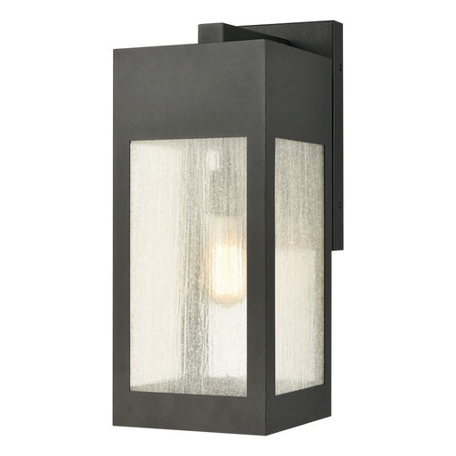 Atlas Lighting Angus 20'' High 1Lt Outdoor Sconce, Charcoal/Clear - OL11062-BK