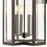 Atlas Lighting Bianca 25'' High 4Lt Outdoor Sconce, Bronze/Clear