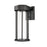 Atlas Lighting Brillis 16'' High 1Lt Outdoor Sconce, Black/Clear