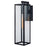 Atlas Lighting Capture 21'' High 1Lt Outdoor Sconce, Black/Clear