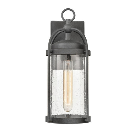 Atlas Lighting Catalonia 13.5'' High 1Lt Outdoor Sconce, Zinc/Clear - OL11091-GY