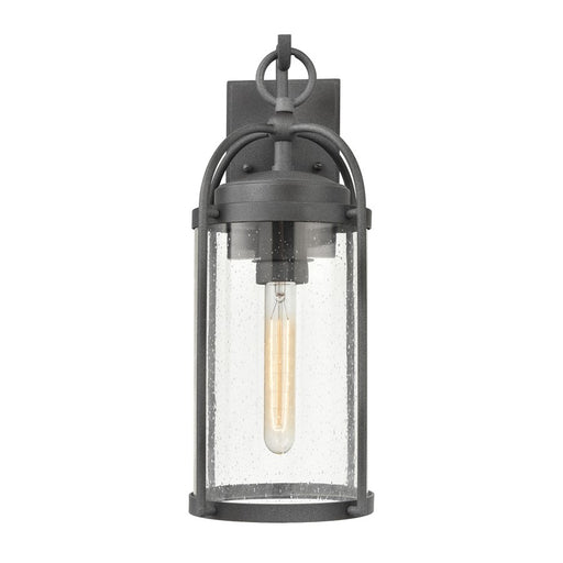 Atlas Lighting Catalonia 17.5'' High 1Lt Outdoor Sconce, Zinc/Clear - OL11092-GY
