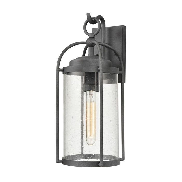 Atlas Lighting Catalonia 17.5'' High 1Lt Outdoor Sconce, Zinc/Clear