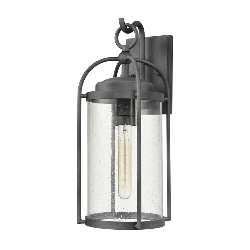 Atlas Lighting Catalonia 17.5'' High 1Lt Outdoor Sconce, Zinc/Clear