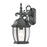 Atlas Lighting Covington 16'' High 1Lt Outdoor Sconce, Black/Clear