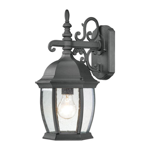 Atlas Lighting Covington 16'' High 1Lt Outdoor Sconce, Black/Clear - OL11106-BK