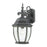 Atlas Lighting Covington 18'' High 1Lt Outdoor Sconce, Black/Clear