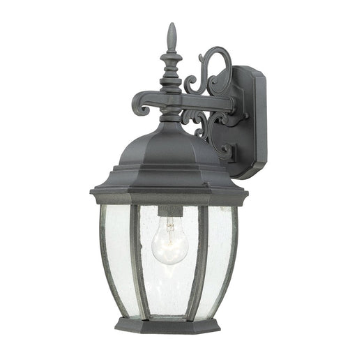Atlas Lighting Covington 18'' High 1Lt Outdoor Sconce, Black/Clear - OL11107-BK