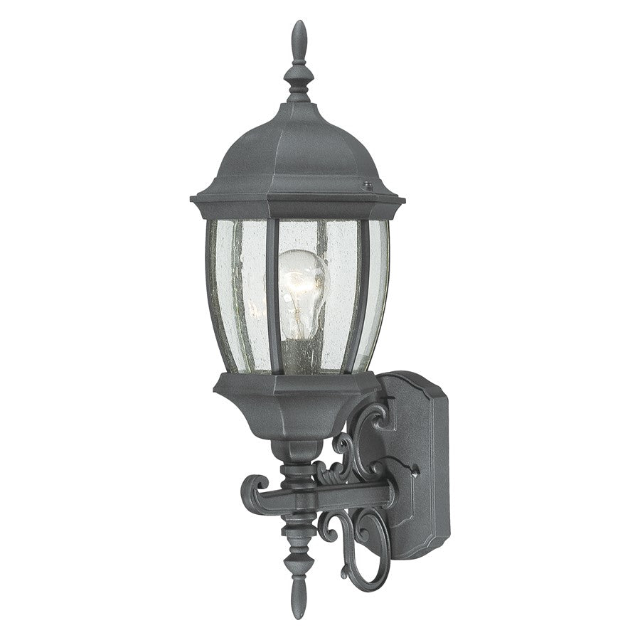 Atlas Lighting Covington 21.5''H 1Lt Outdoor Sconce, Black/Clear
