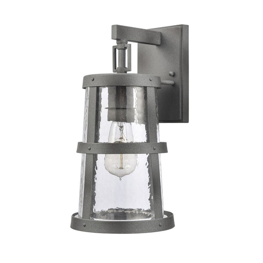 Atlas Lighting Dakota 14'' High 1Lt Outdoor Sconce, Zinc/Clear