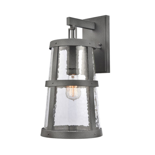 Atlas Lighting Dakota 18'' High 1Lt Outdoor Sconce, Zinc/Clear