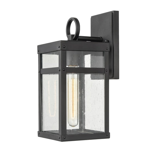 Atlas Lighting Dalton 13'' High 1Lt Outdoor Sconce, Black/Clear