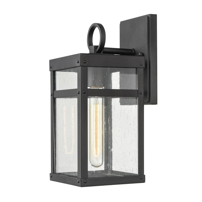 Atlas Lighting Dalton 13'' High 1Lt Outdoor Sconce, Black/Clear