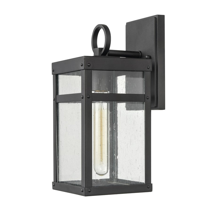 Atlas Lighting Dalton 13'' High 1Lt Outdoor Sconce, Black/Clear