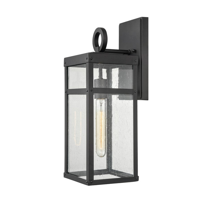 Atlas Lighting Dalton 17.5'' High 1Lt Outdoor Sconce, Black/Clear