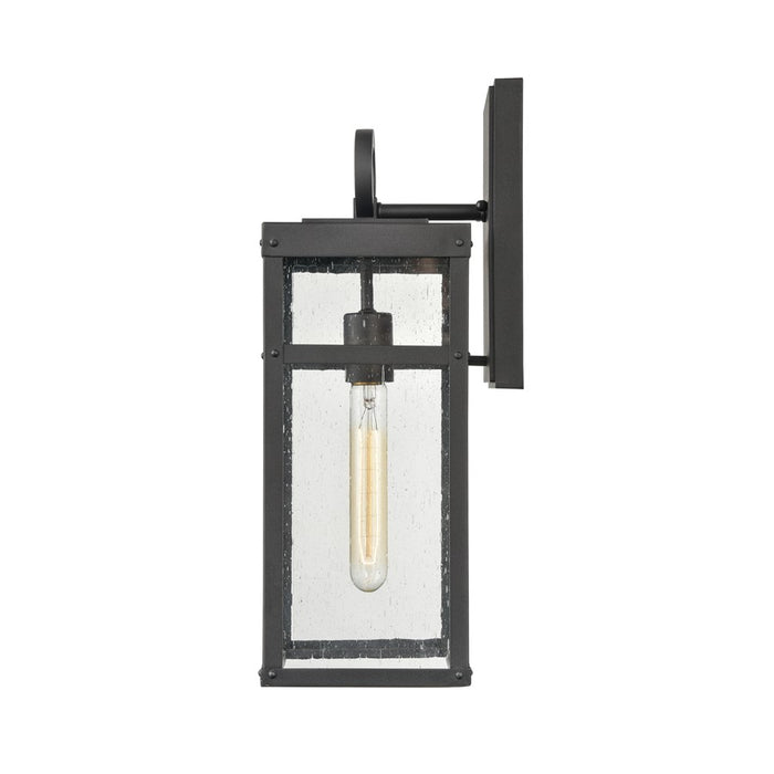 Atlas Lighting Dalton 17.5'' High 1Lt Outdoor Sconce, Black/Clear