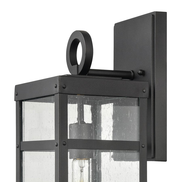 Atlas Lighting Dalton 17.5'' High 1Lt Outdoor Sconce, Black/Clear