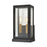 Atlas Lighting Foundation 13'' High 2Lt Outdoor Sconce, Black/Clear