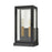 Atlas Lighting Foundation 13'' High 2Lt Outdoor Sconce, Black/Clear