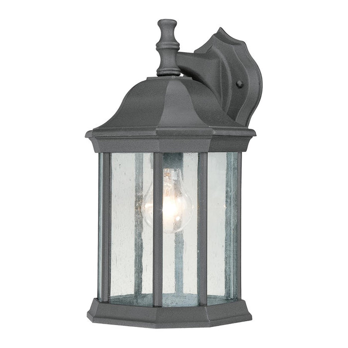 Atlas Lighting Hawthorne 14'' High 1Lt Outdoor Sconce, Black/Clear