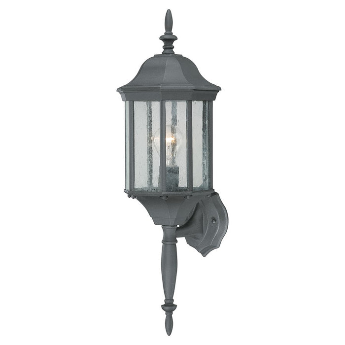 Atlas Lighting Hawthorne 26'' High 1Lt Outdoor Sconce, Black/Clear
