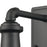 Atlas Lighting Jackson 12'' High 1Lt Outdoor Sconce, Black/Clear