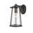 Atlas Lighting Kennison 13'' High 1Lt Outdoor Sconce, Black/Clear