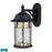 Atlas Lighting Lapuente 14'' High 1Lt Outdoor Sconce, Black/Clear