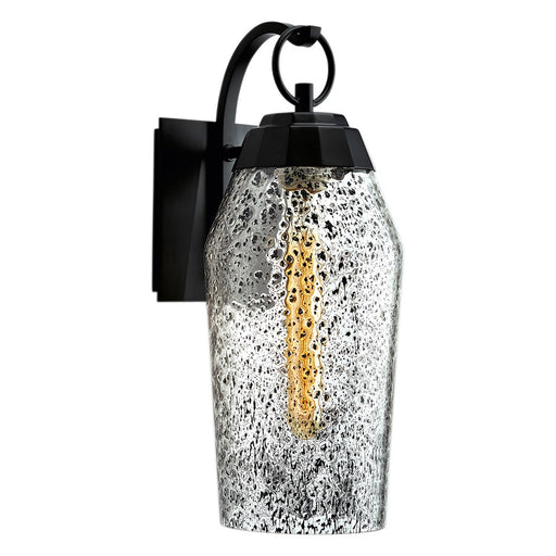 Atlas Lighting Lyrids 14''H 1Lt Outdoor Sconce, Matte Black/Clear