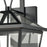 Atlas Lighting Main Street 21''H 4Lt Outdoor Sconce, Black/Clear